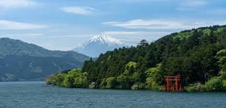Kyoto Tea Ceremony Experience 3