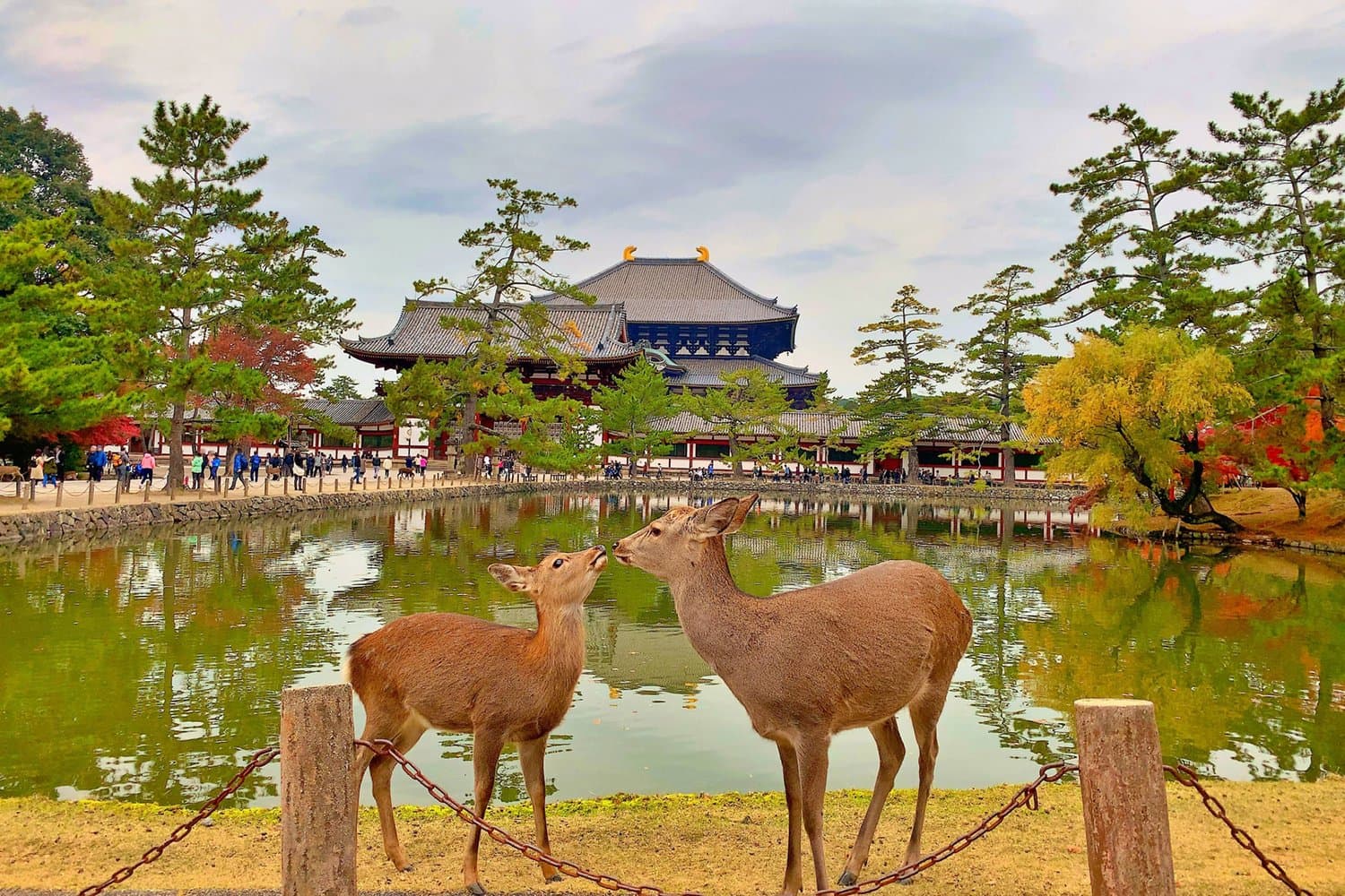 Historic Kyoto Walking Tour 3