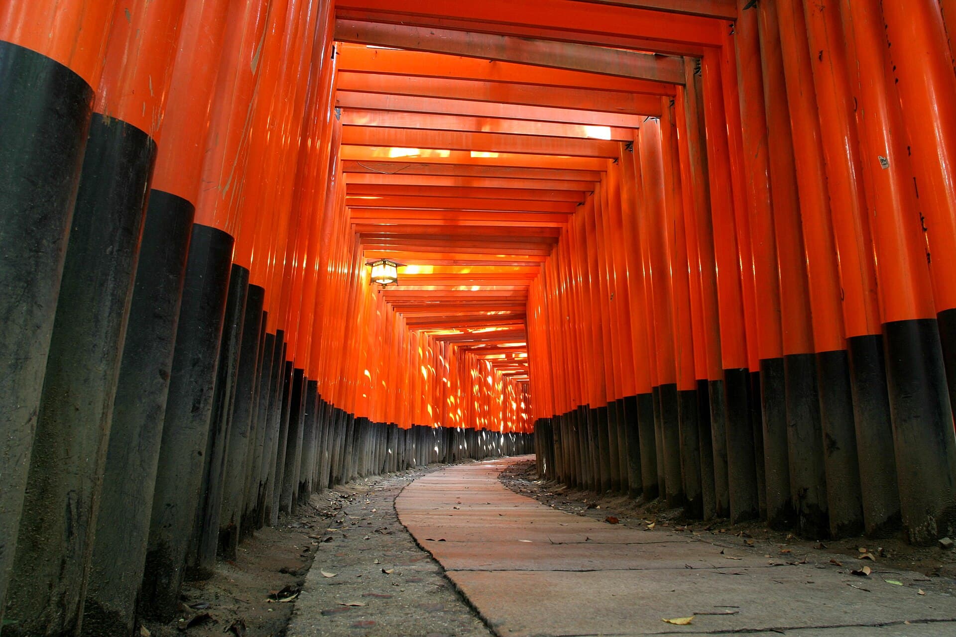 Fushimi Inari Guide 2026: Climb Times, Crowds, Rules and the Sake District
