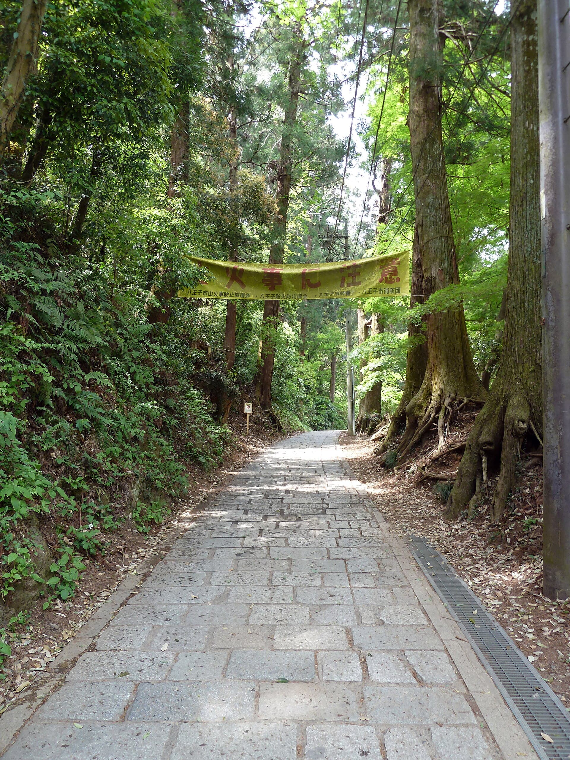 Hiking Near Tokyo 2026–27: Trails, Parks, Kayaking and Camping in Japan